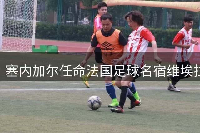 塞内加尔任命法国足球名宿维埃拉为新任主帅