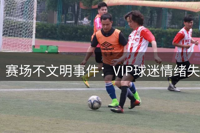 赛场不文明事件：VIP球迷情绪失控惊现投掷行为